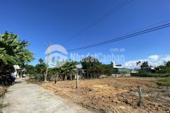 Hàng tách thửa mới keng kiệt ô tô giá quá rẻ để đầu tư tại hòa khương