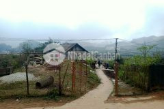 Cần bán mảnh đất tai sapa thôn giàng tra huyenj tả phìn