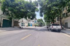 Bán gấp nhà lk nguyễn tuân, 110m2 7 tầng, mt 10m, 42 tỷ