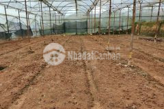 Bán 800m2 đất mt ngô gia tự p12 tttp.đà lạt. 9.5 tỷ bao sổ. lh0828841234