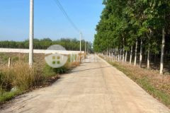 Bán 1059m2 đất ở tân hiệp phú giáo bình dương