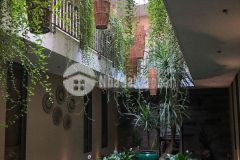 Cho thuê nhà nguyên căn 3tầng đường trưng nhị, q.hải châu,