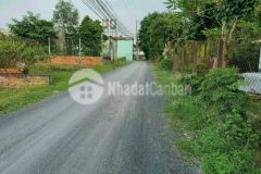 Cần bán miếng đất 185m2 gần khu công nghiệp trảng bàng giá 550 triệu.