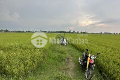 Chính chủ bán 3386m2 đất nông nghiệp đường kênh đông đi vào 500m shr 1.8 tỷ. lh0916799439