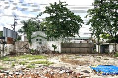 Mặt tiền nguyễn văn bứa, hóc môn 1172m2 chỉ 30 tỷ tl