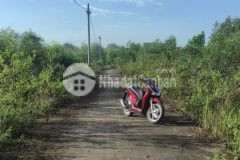 Bán đất 5x17m. h. đông ấp ông hường thiện tân vĩnh cửu đồng nai.