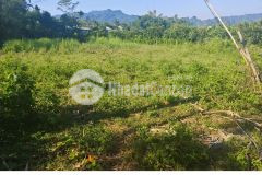 Bán 2 lô đất liền kề vị trí đẹp tại thị trấn mãn đức, sẵn sổ, chỉ 195tr 1 lô. lh0356831386