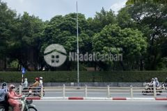 Mặt phố, 7 tầng, thang máy, kinh doanh phố tôn đức thắng, đống đa. 0911554873.