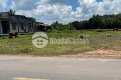 Chính chủ bán lô thổ cư 176m2 470tr xã phước đông, gò dầu, tây ninh.