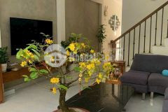 Bán nhà 4 tầng đẹp nhà ngay hoàng hoa thám bình thạnh 4.5x18 4 lầu thang máy giá 14 tỷ.