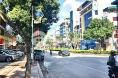 Bán nhà đấu giá ngô thì nhậm hà đông 48m2 7 tầng thang máy ô tô giá chỉ 13.8 tỷ