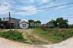 Bán cặp gốc đất biển mặt tiền đường qh29m tuy phong bình thuận