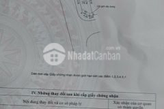 Bán đất đấu giá x4 liên hà đông anh lô góc phân lô tiện ích ngập tràn hơn 40 trm2