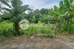 Bán 100m full ont thị trấn lương sơn giá 7xx triệu.