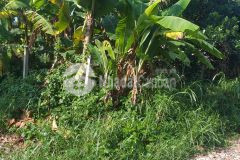 Bán 2 lô đất 128m và 231,8m tại củ chi có sẵn shr, giá 2 tỷ 1 lô. lh0785181069