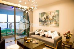 Chính chủ bán gấp nhà mặt phố kim mã giá 31 tỷ, 80m2, hè rộng, kd cực tốt