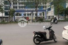 Gia đình bán gấp nhà phố đào tấn giá 12.3 tỷ, 55mx6 tầng, thang máy, hiện đại