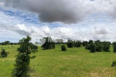 Bán 6710m2 đất vườn hồng thái sổ sẵn giá rẻ chỉ 470tr lh 0938677909 xem sổ