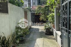 Xuân la ngõ thông, gần phố.