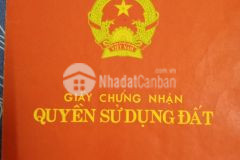 Bán căn hộ tập thể tầng 1 ở số 37 ngõ 433 kim ngưu