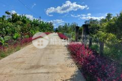 Siêu phẩm mới tách thửa đường 5m chưa qua đầu tư tại hòa khương giá quá rẻ