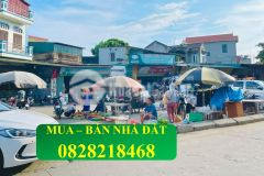 Cần bán gấp lô đất đấu giá 90m, tại đình dù, văn lâm, giá tốt 0828218468