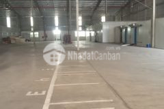 Cho thuê kho tại kcn hà bình phương. hà nội