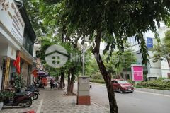 Nhà thuỵ khuê cần bán gấp.5,2 tỷ.40m