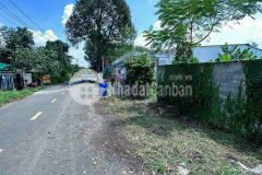 Cần bán lại miếng đất 329m2 ở gò dầu tây ninh giá 440 triệu.