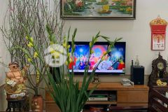 Chính chủ bán nhà ngõ 40 tạ quang bửu,bách khoa,cách mặt phố trần đại nghĩa 50m, 4 tầng dt 40m2. v