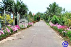 Bán 1300m2 đất đường ô tô 5m thông thoáng sạch đẹp tại hòa nhơn giá quá rẻ