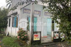 Bán 1800m2 đất lúa xã bình trinh đông, tân trụ shr 700tr. lh0912458735