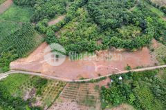 Đất ngân hàng thanh lý giá rẻ.view hồ.đường nhựa 7m