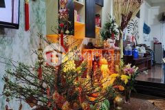 Cực gấp bán, giảm sâu, cạnh hxh, đường lò gốm, q. 6, 62m2, 3 tầng, ngang 5m, rẻ bèo chỉ nhỉnh 3 tỷ x