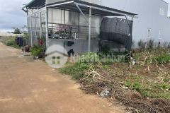 Chỉ với 700tr sở hữu ngay lô đát ka đô đơn dương