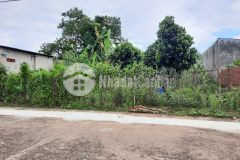 Thiếu nợ cần bán gấp lô đất dh 507 an linh 784m2 giá chỉ 480 triệu