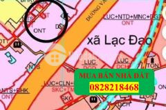 Bán đất đấu giá lạc đạo giáp đường vành đai 4, 79m chỉ 2295tr lh 0828218468