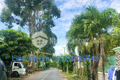 Kẹt tiền nên bán lỗ lô 163m2, phú hoà đông, củ chi.