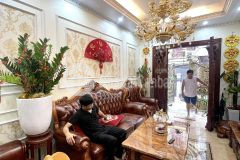 Nội thất tiền tỷ, nhà đẹp lung linh chỉ 10,5 tỷ, thang máy hiện đại