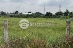 1655m2 mặt tiền 833 lạc tấn, tân trụ, long an