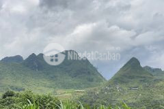 Chủ cần bán gấp 4000m2 tại quản bạ hà giang view thoáng mát