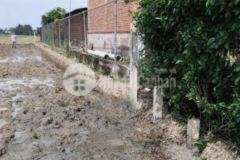 Công đất mt, dt833b, xã lạc tấn, tân trụ tỉnh long an