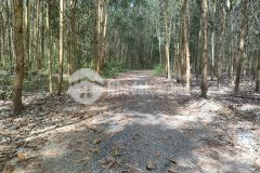 Bán đất vườn diên xuân giá rẻ gần khu dân cư