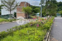 Bán nhanh 5 lô đất nền ngay phía bắc nha trang