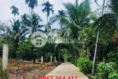 Đất bán gấp giá cực sốc, châu thành, tiền giang