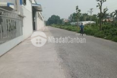 Cho thuê kho, xưởng tại huyện bình giang. hải dương