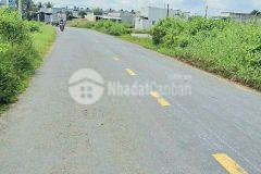 Hàng ngộp cần bán đất 256m2 ở xã tân thông hội củ chi giá 750 triệu.