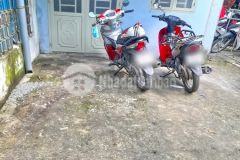 Hàng thơm nhà cấp 4 hẻm 132 tân mỹ, p.tân thuận tây, quận 7