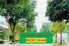 Bán đất khu 113 như quỳnh, văn lâm, hưng yên. cực đẹp, giá tốt lh 0828218468