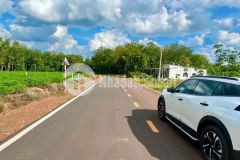 540tr không lấy lô này thì lô nào